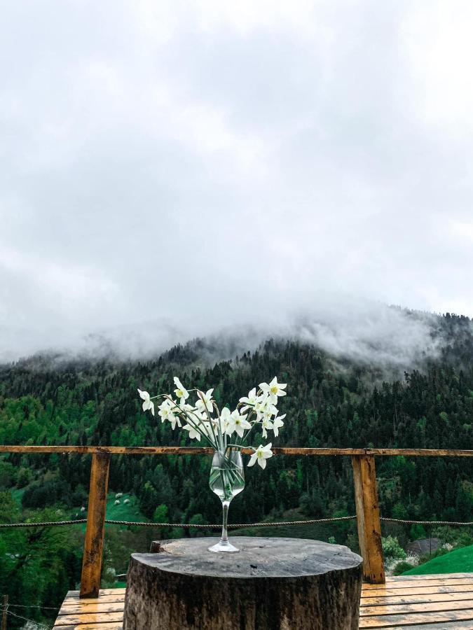 Mitarbi Silence - Cozy Holiday Cottages In Mountains 博尔若米 外观 照片