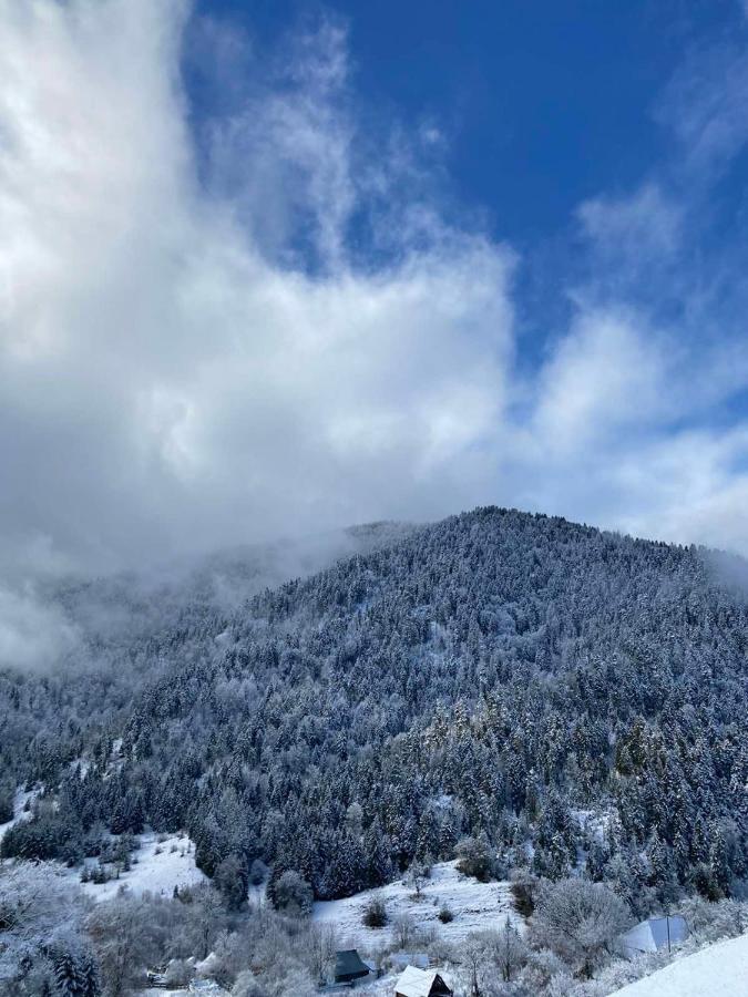 Mitarbi Silence - Cozy Holiday Cottages In Mountains 博尔若米 外观 照片