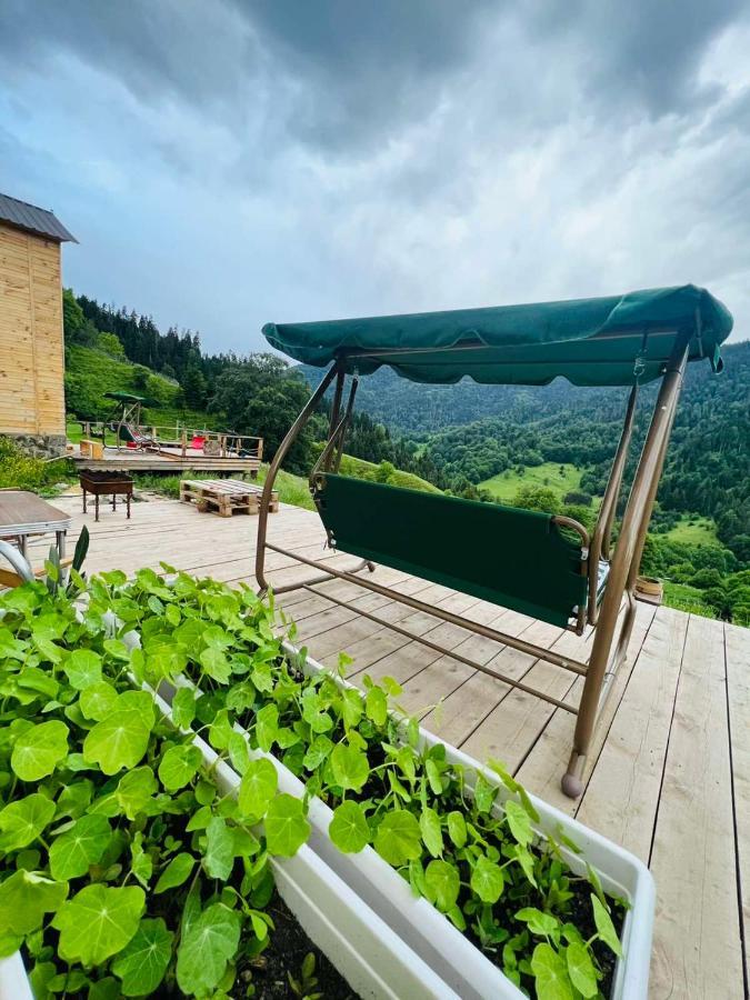 Mitarbi Silence - Cozy Holiday Cottages In Mountains 博尔若米 外观 照片