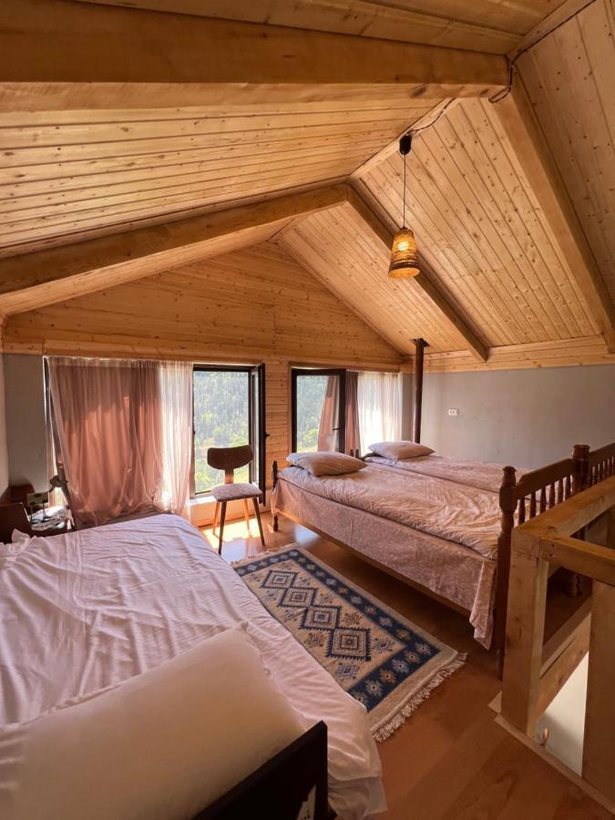 Mitarbi Silence - Cozy Holiday Cottages In Mountains 博尔若米 外观 照片