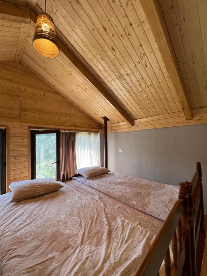 Mitarbi Silence - Cozy Holiday Cottages In Mountains 博尔若米 外观 照片