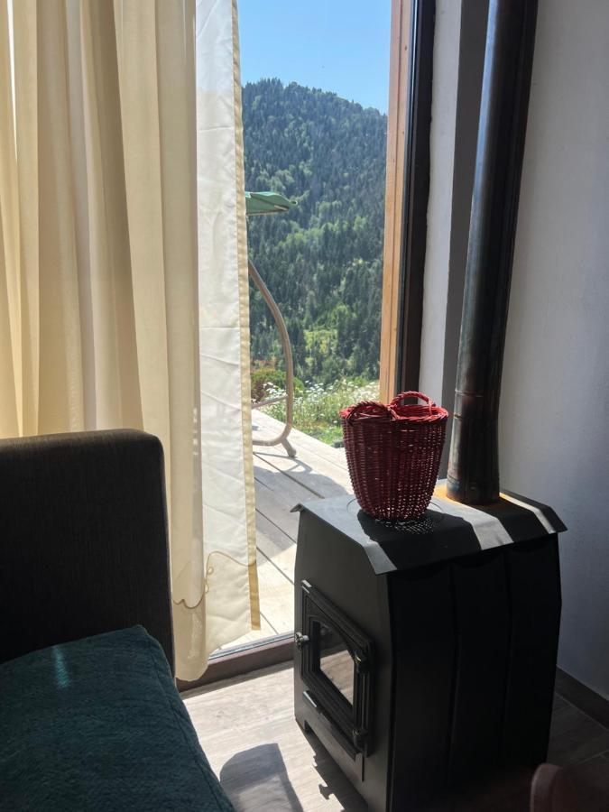 Mitarbi Silence - Cozy Holiday Cottages In Mountains 博尔若米 外观 照片
