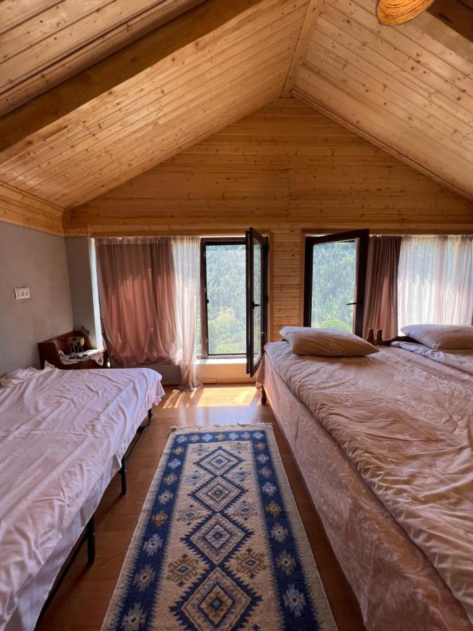 Mitarbi Silence - Cozy Holiday Cottages In Mountains 博尔若米 外观 照片