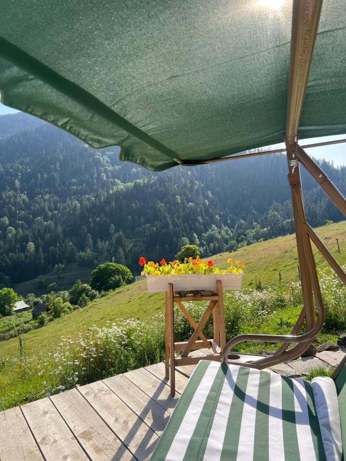 Mitarbi Silence - Cozy Holiday Cottages In Mountains 博尔若米 外观 照片