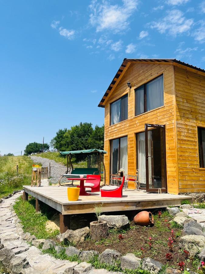 Mitarbi Silence - Cozy Holiday Cottages In Mountains 博尔若米 外观 照片