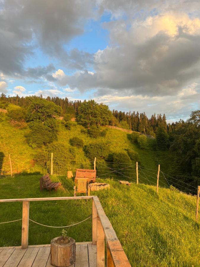 Mitarbi Silence - Cozy Holiday Cottages In Mountains 博尔若米 外观 照片