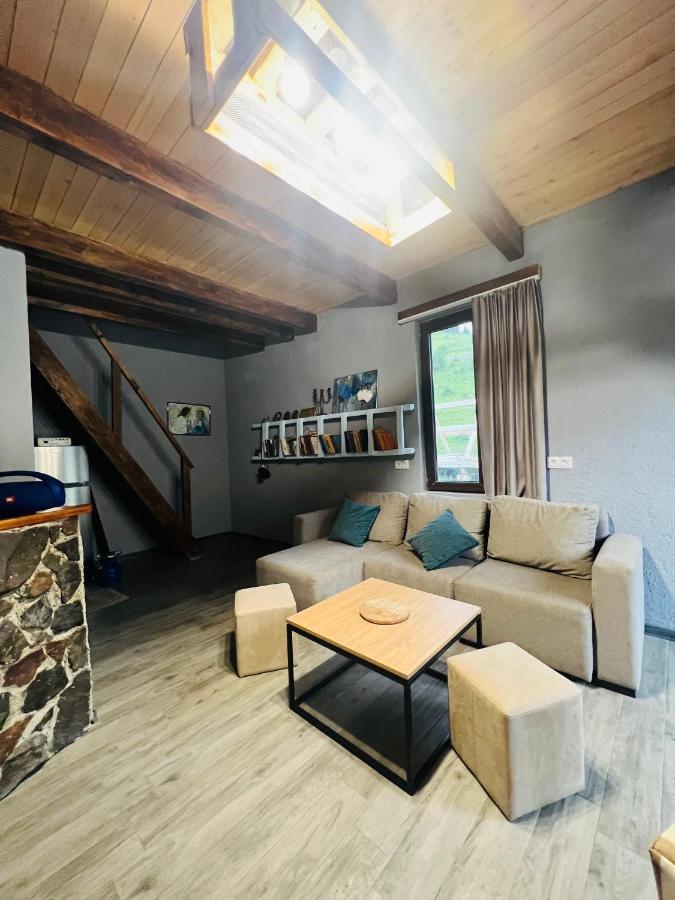Mitarbi Silence - Cozy Holiday Cottages In Mountains 博尔若米 外观 照片